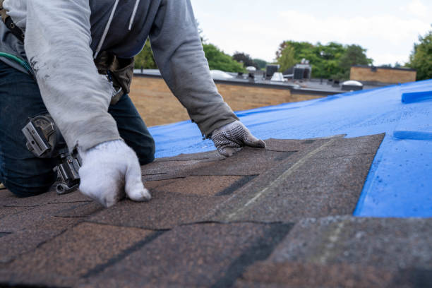 Best Metal Roofing Contractor  in Rangely, CO